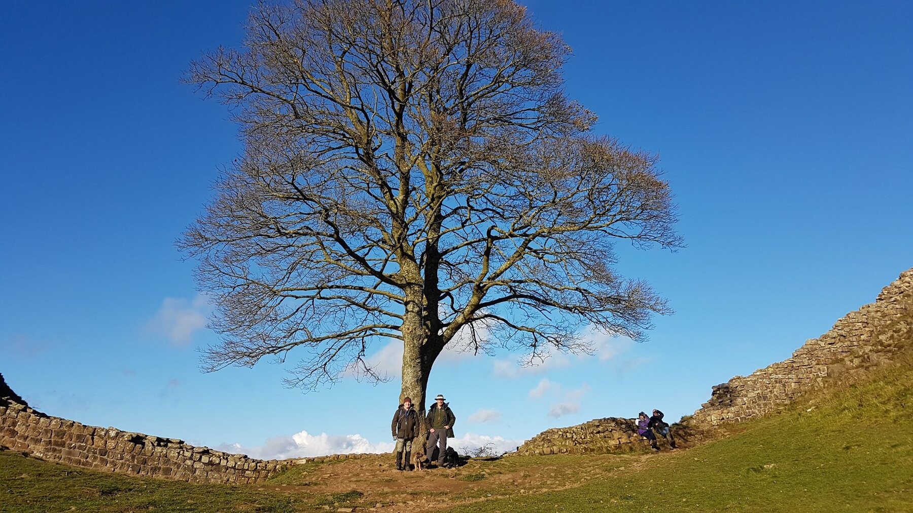 Ron Wood and his friend Ian at Sycamore Gap before the tree was felled