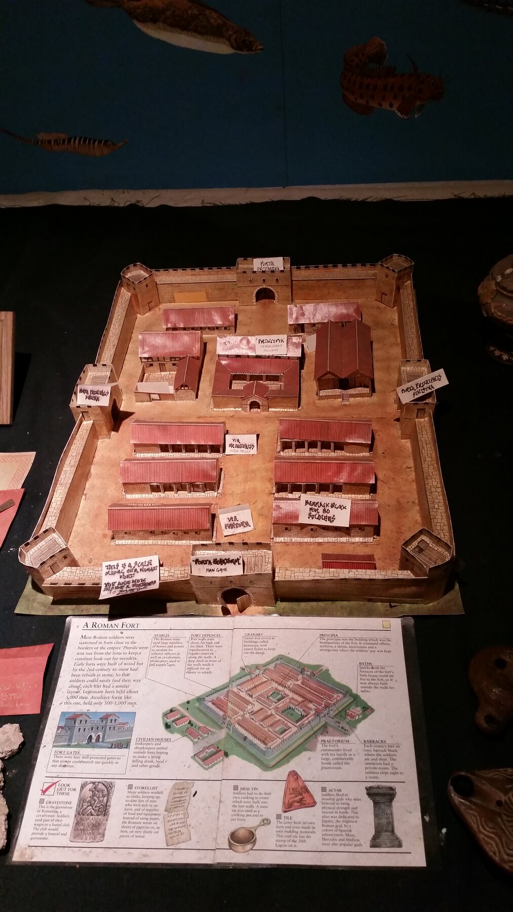 Model showing the layout of the Roman legionary fortress at York